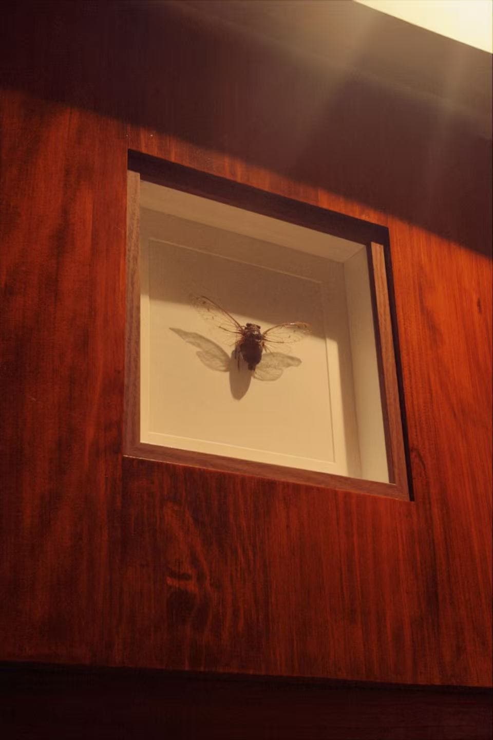 A day out in Ningbo with a classmate